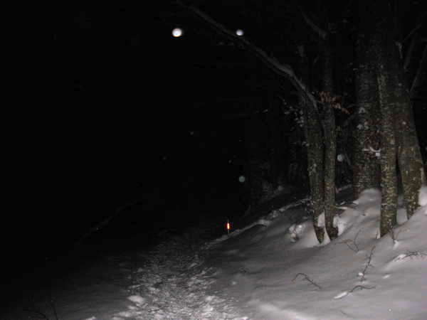 fichier 20120204_1933_001desert_snow_trail_dans_les_bois_km9-0.jpg